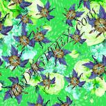 Colour:C