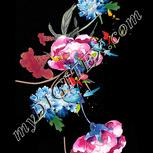 Colour:A