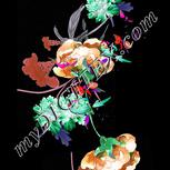 Colour:B