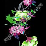 Colour:C