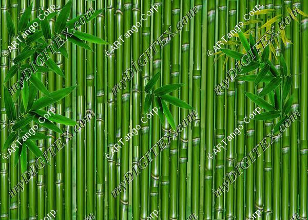 My  Bamboo