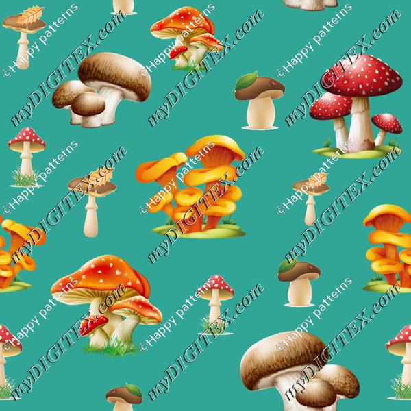 Mushrooms on blue Autumn Nature