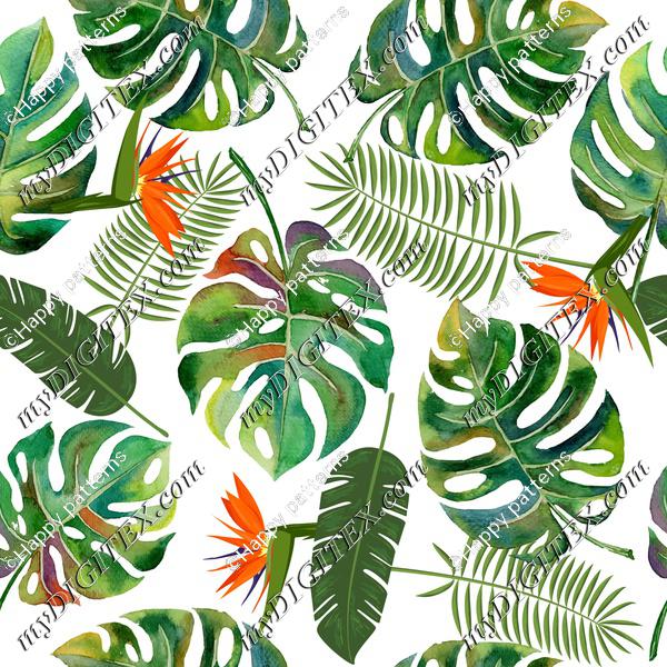 tropical leaves white