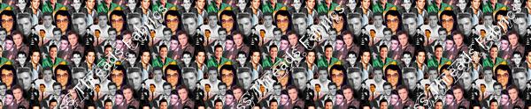 Rockabilly Elvis