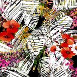 Colour:A
