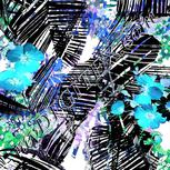 Colour:F