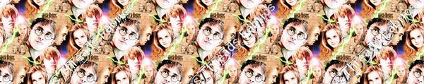 Harry Potter Dreams