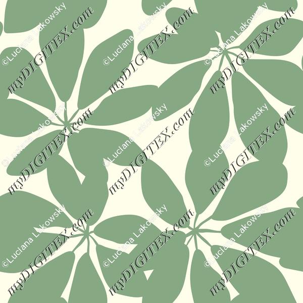 Tropical palm tree leave pattern