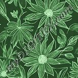 Colour:K