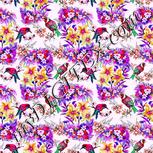 Colour:B