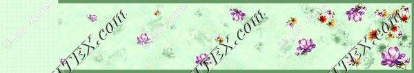 IMG-20241230-WA0025