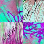 Colour:C