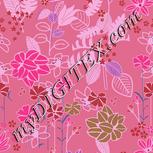 Colour:B
