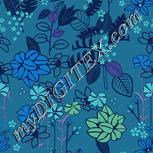 Colour:F