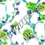 Colour:C