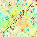 Colour:K