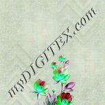 Colour:C