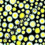 Colour:K