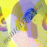 Colour:K