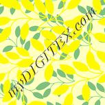 Colour:K