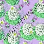 Colour:D