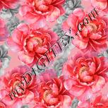 Colour:A