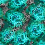 Colour:F