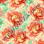 Colour:K