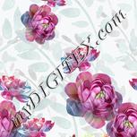 Colour:A