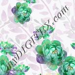 Colour:D