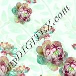 Colour:K