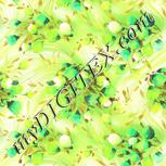 Colour:D
