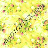 Colour:K