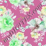 Colour:C