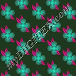 Colour:F