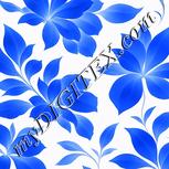 Colour:F