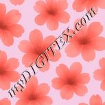 Colour:B