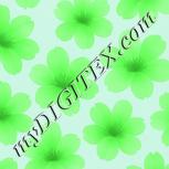 Colour:C