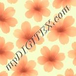 Colour:K