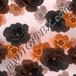 Colour:B