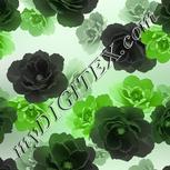 Colour:C