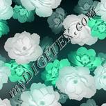 Colour:F