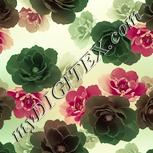 Colour:K