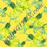 Colour:K