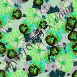Colour:C