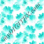 Colour:F