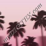 Colour:B