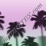 Colour:C