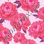 Colour:B