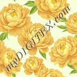 Colour:K